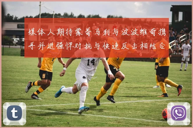 媒体人期待蒙哥马利与波波维奇携手并进强悍对抗与快速反击相结合