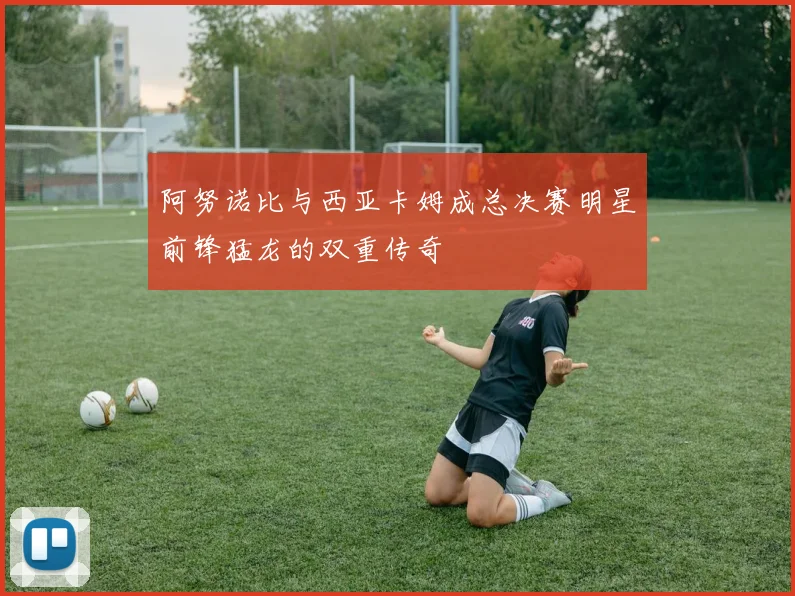 阿努诺比与西亚卡姆成总决赛明星前锋猛龙的双重传奇